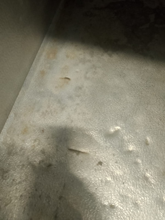  Szafa mroźnicza Bolarus SN-500 S