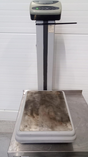 Waga magazynowa Cas DL-100 do 100kg